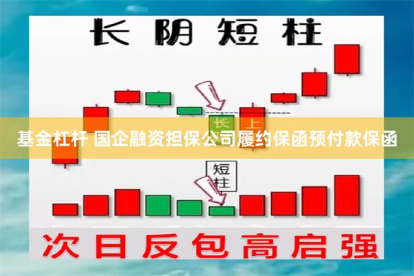 基金杠杆 国企融资担保公司履约保函预付款保函