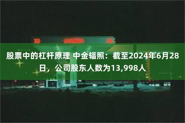 股票中的杠杆原理 中金辐照：截至2024年6月28日，公司股东人数为13,998人