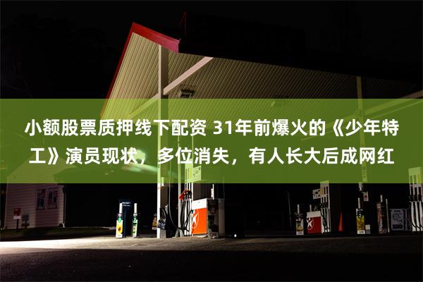 小额股票质押线下配资 31年前爆火的《少年特工》演员现状，多位消失，有人长大后成网红