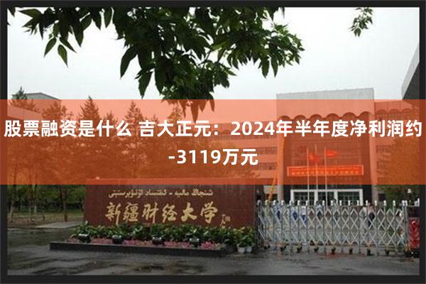 股票融资是什么 吉大正元：2024年半年度净利润约-3119万元