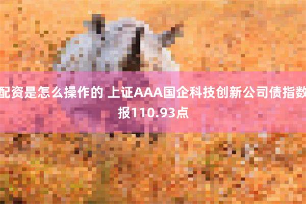 配资是怎么操作的 上证AAA国企科技创新公司债指数报110.93点