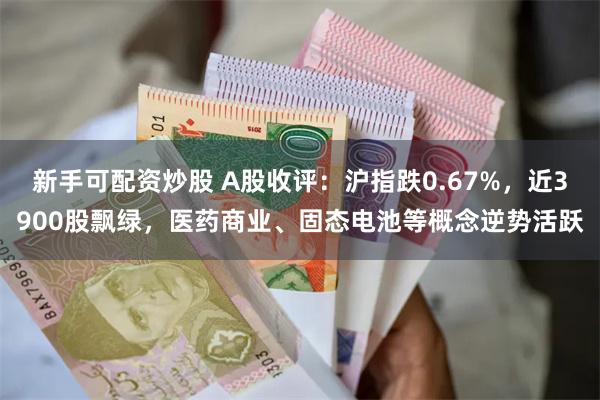 新手可配资炒股 A股收评：沪指跌0.67%，近3900股飘绿，医药商业、固态电池等概念逆势活跃