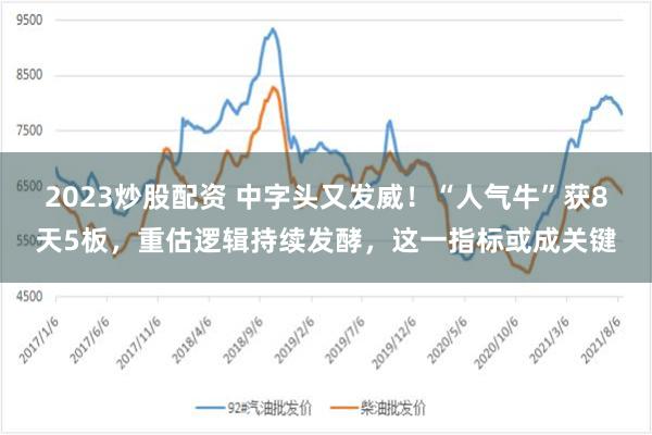 2023炒股配资 中字头又发威！“人气牛”获8天5板，重估逻辑持续发酵，这一指标或成关键