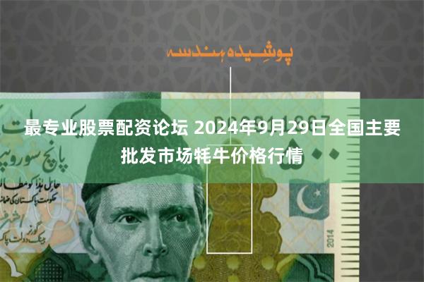 最专业股票配资论坛 2024年9月29日全国主要批发市场牦牛价格行情