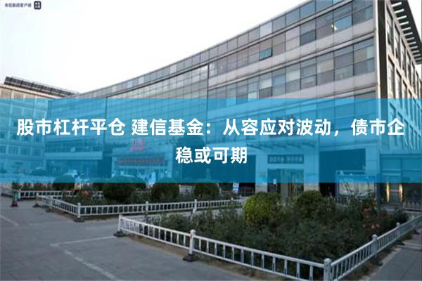 股市杠杆平仓 建信基金：从容应对波动，债市企稳或可期