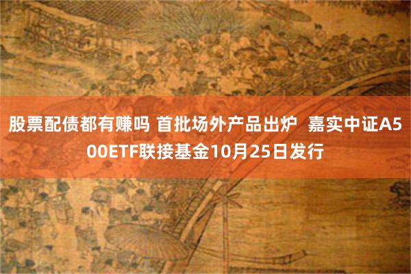 股票配债都有赚吗 首批场外产品出炉  嘉实中证A500ETF联接基金10月25日发行