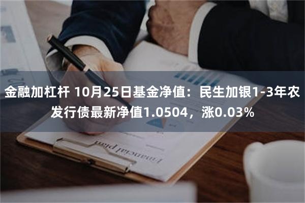 金融加杠杆 10月25日基金净值：民生加银1-3年农发行债最新净值1.0504，涨0.03%