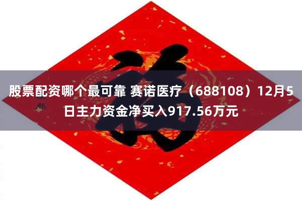 股票配资哪个最可靠 赛诺医疗（688108）12月5日主力资金净买入917.56万元