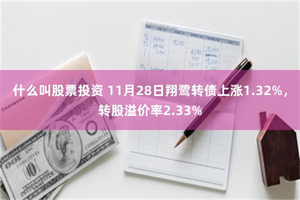 什么叫股票投资 11月28日翔鹭转债上涨1.32%，转股溢价率2.33%