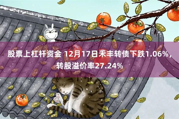 股票上杠杆资金 12月17日禾丰转债下跌1.06%，转股溢价率27.24%