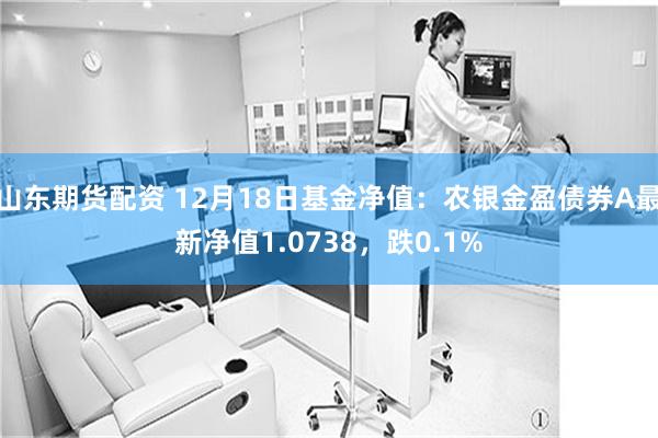 山东期货配资 12月18日基金净值：农银金盈债券A最新净值1.0738，跌0.1%