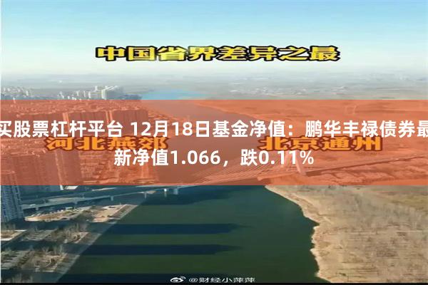 买股票杠杆平台 12月18日基金净值：鹏华丰禄债券最新净值1.066，跌0.11%