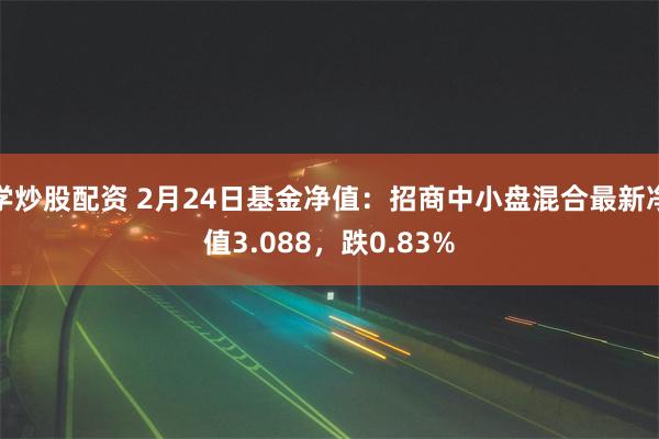 学炒股配资 2月24日基金净值：招商中小盘混合最新净值3.088，跌0.83%